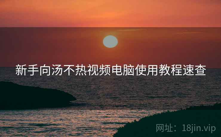 新手向汤不热视频电脑使用教程速查