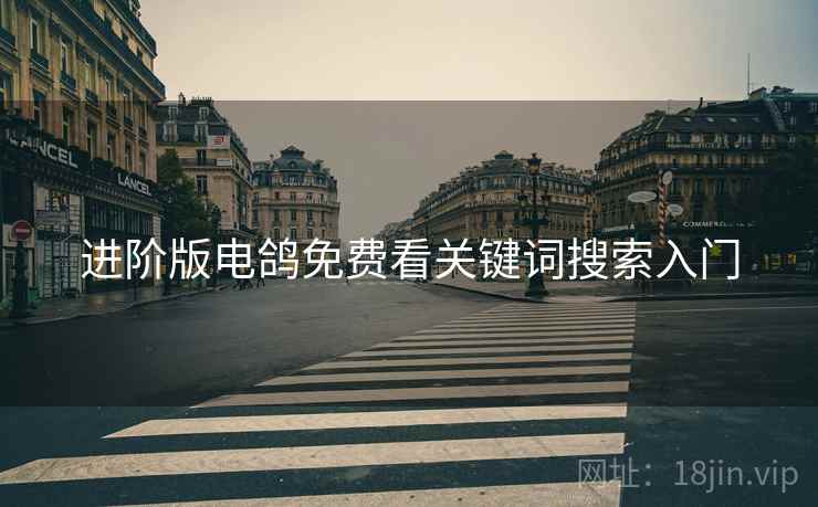 进阶版电鸽免费看关键词搜索入门