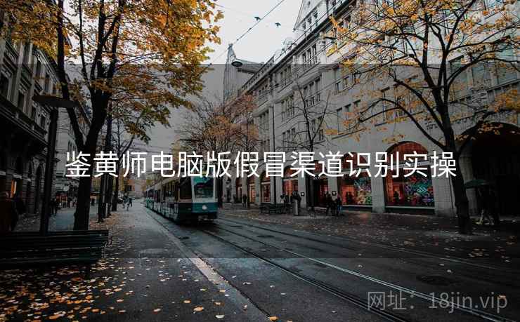 鉴黄师电脑版假冒渠道识别实操