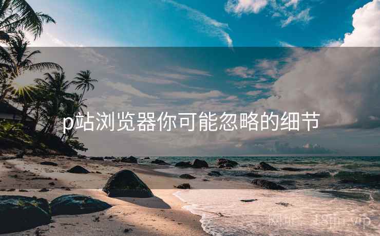 p站浏览器你可能忽略的细节