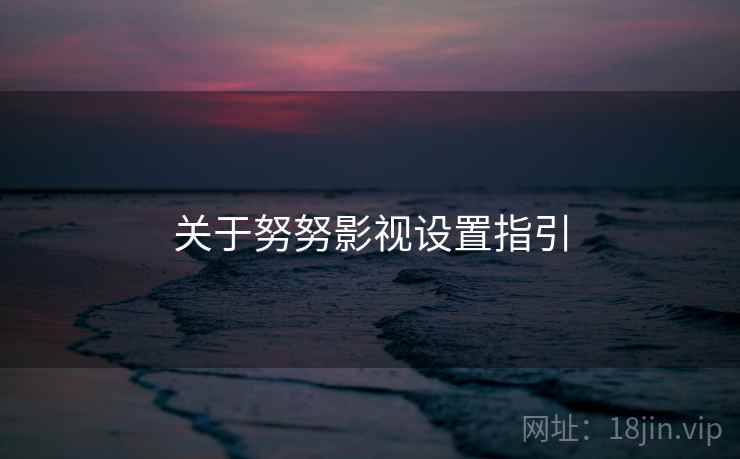 关于努努影视设置指引