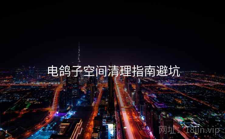 电鸽子空间清理指南避坑