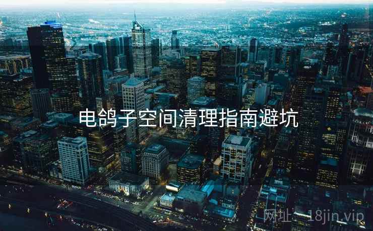 电鸽子空间清理指南避坑