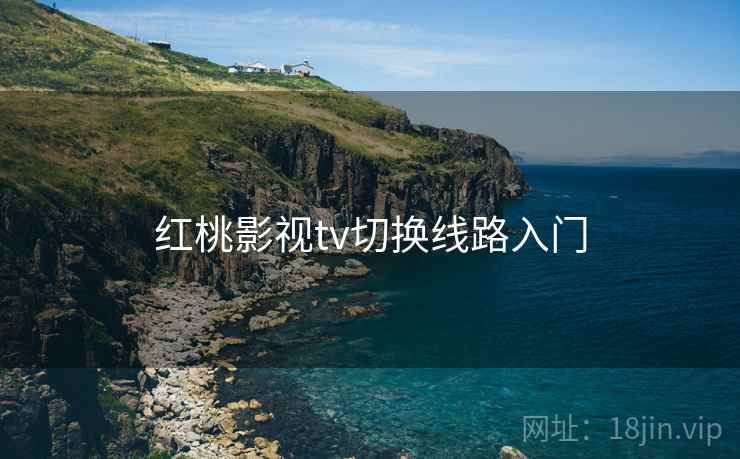 红桃影视tv切换线路入门