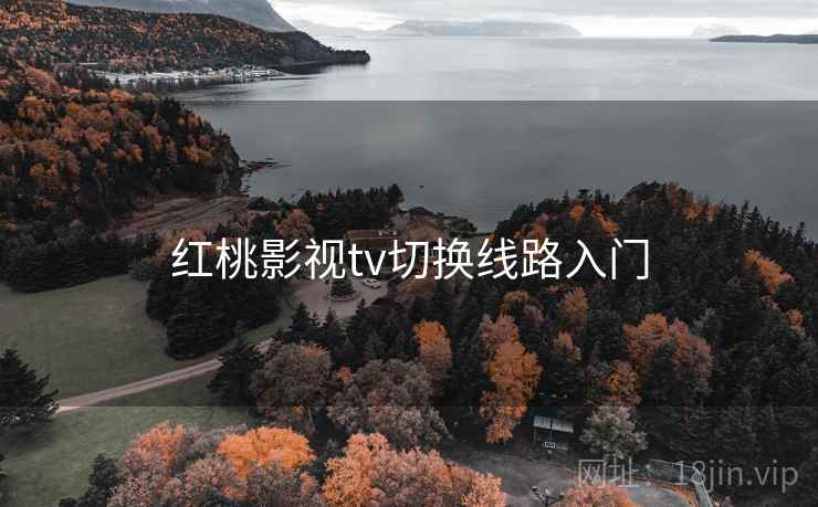 红桃影视tv切换线路入门