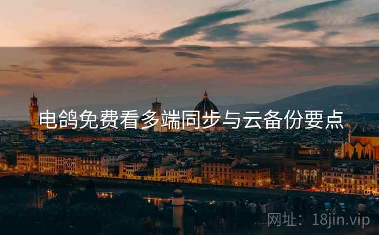 电鸽免费看多端同步与云备份要点