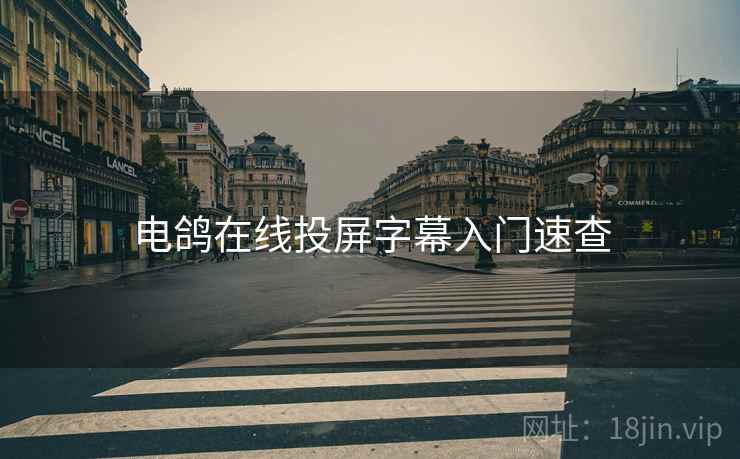 电鸽在线投屏字幕入门速查
