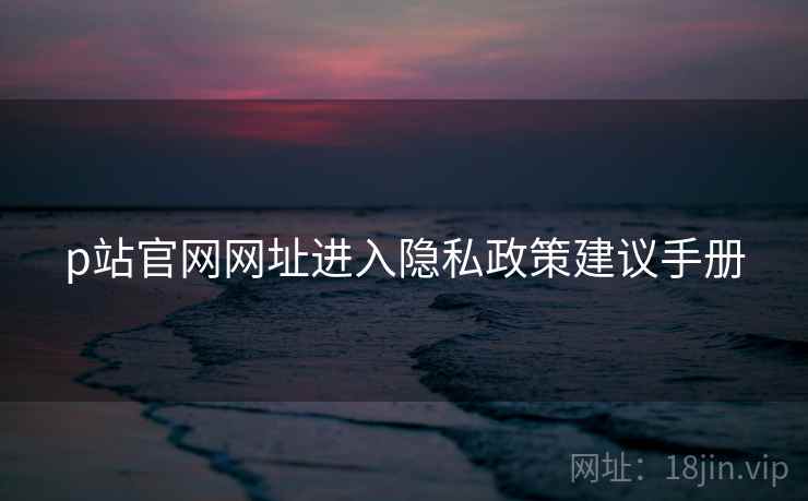 p站官网网址进入隐私政策建议手册