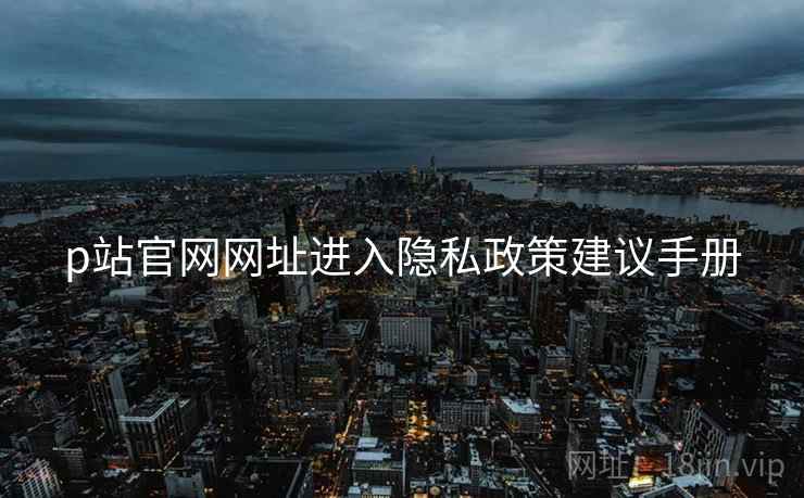 p站官网网址进入隐私政策建议手册