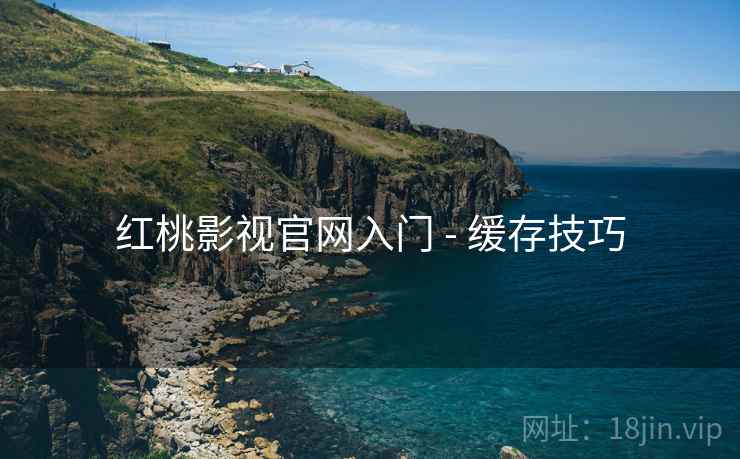 红桃影视官网入门 - 缓存技巧