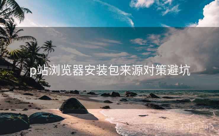 p站浏览器安装包来源对策避坑