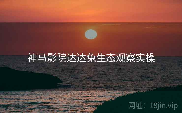神马影院达达兔生态观察实操