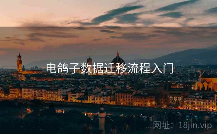 电鸽子数据迁移流程入门