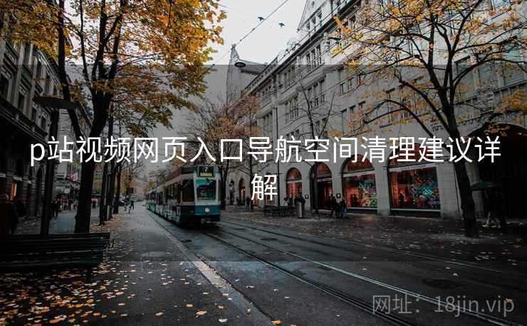 p站视频网页入口导航空间清理建议详解